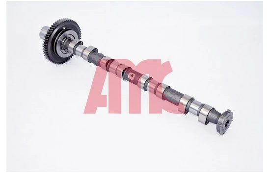 Arbre à came AMC 647267