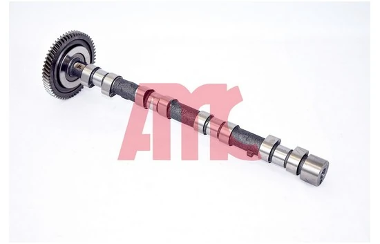 Arbre à came AMC 647268