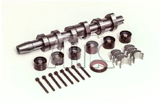 Jeu d'arbres à came AMC 666867K