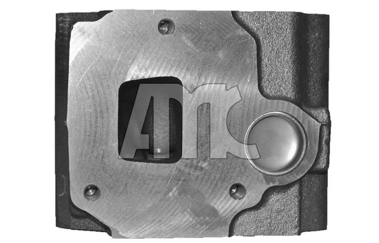 Culasse de cylindre AMC 939060
