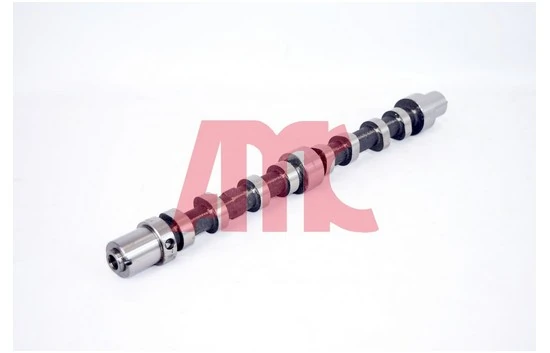 Arbre à came AMC 647273