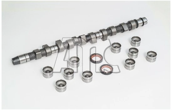 Jeu d'arbres à came AMC 653851K