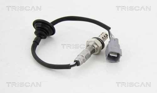 Oxygen Sensor