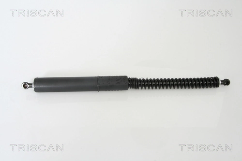 Gas Spring, boot/cargo area