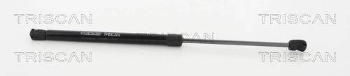 Gas Spring, boot/cargo area