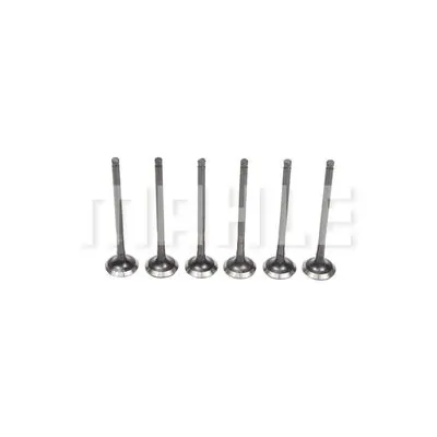 Exhaust Valve
