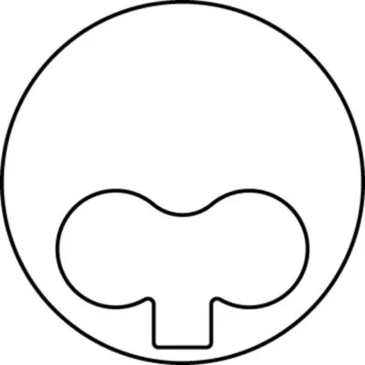 Piston MAHLE 009 38 02