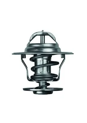 Thermostat, liquide de refroidissement MAHLE TX 13 75D