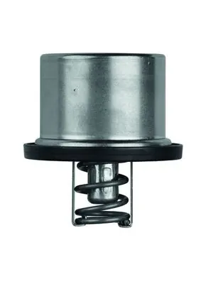 Thermostat, liquide de refroidissement MAHLE TX 37 79