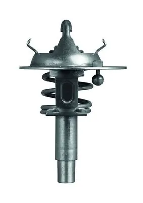 Thermostat, liquide de refroidissement MAHLE TX 106 90D