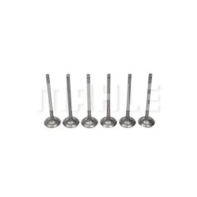 Intake Valve
