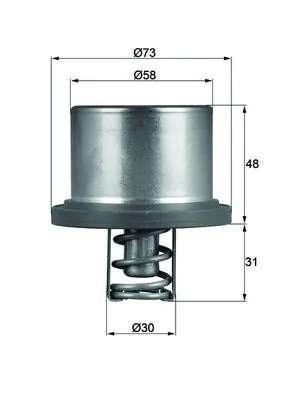 MAHLE THD289