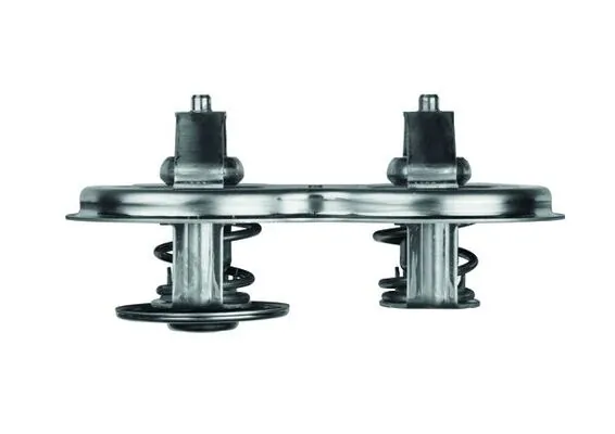 Thermostat, liquide de refroidissement MAHLE TX 33D