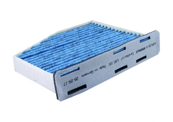 MAHLE LAO181