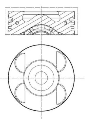 MAHLE 001 PI 00105 002