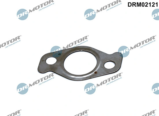 Gasket, EGR valve