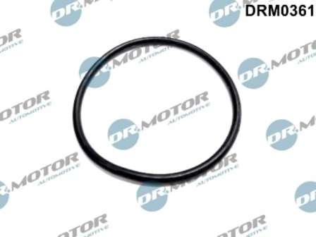 Gasket, vacuum pump