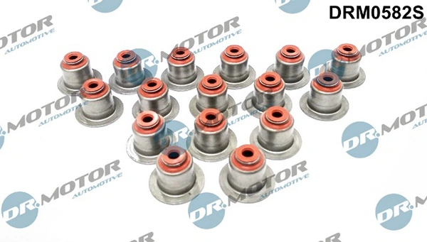 Seal Set, valve stem