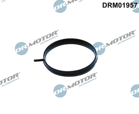 Gasket, throttle body