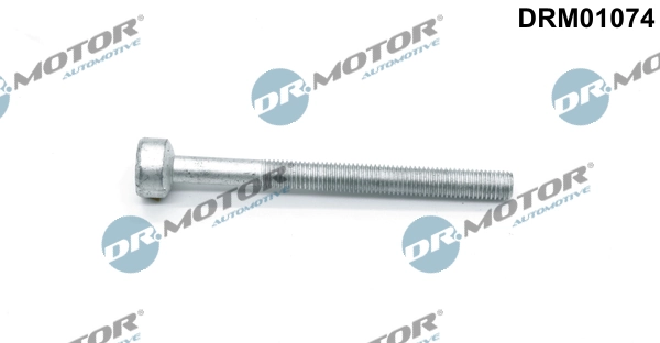 Screw, injection nozzle holder