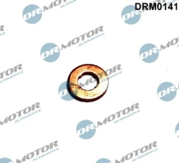 Seal Ring, injector