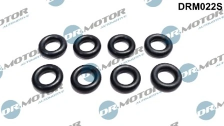 Seal Ring, nozzle holder