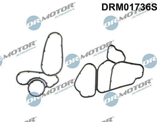 Gasket Set, oil cooler