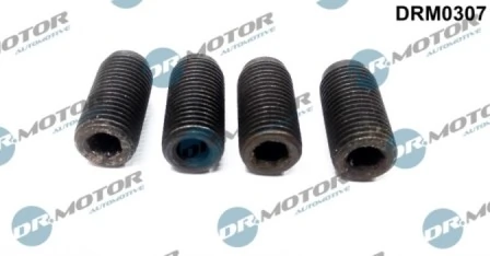 Vis a tenon carré, Pompe a injection