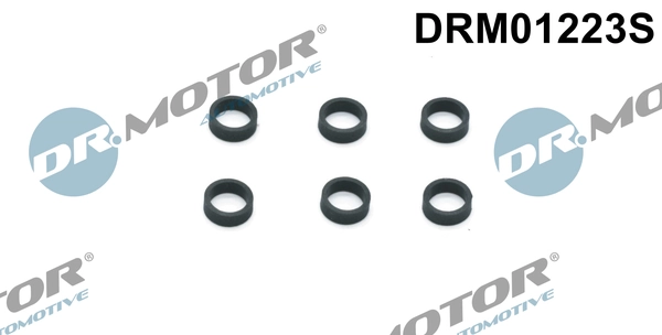 Seal Ring, nozzle holder
