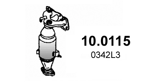 Catalyseur ASSO 10.0115