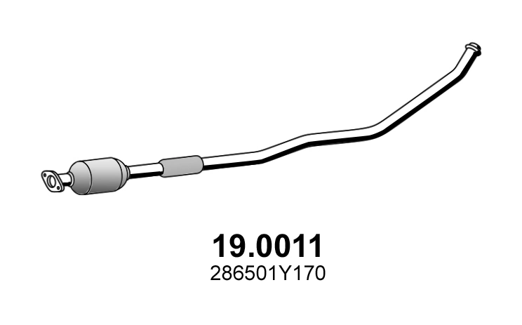 Catalyseur ASSO 19.0011