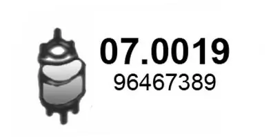 Catalyseur ASSO 07.0019