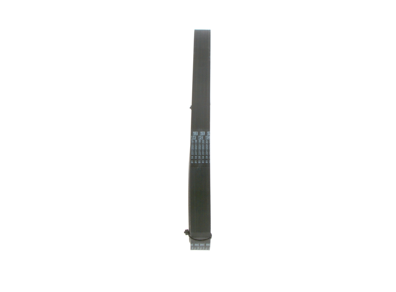 Courroie Alt 6pk1450 206+ Polo 5  6PK1448 6PK1449 6PK1451 6PK1447