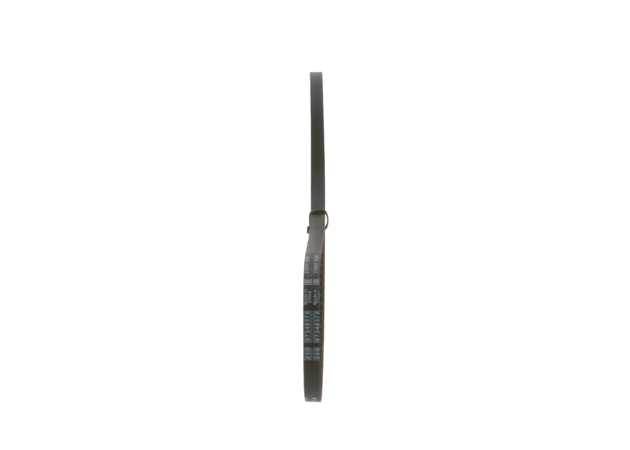 COURROIE ALTERNATEUR 10*800 STD