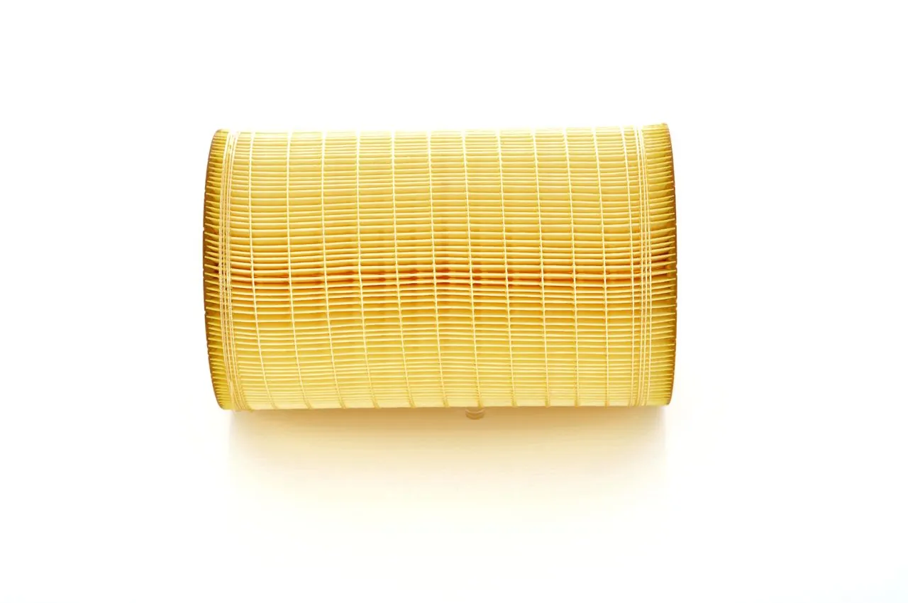 Filtre à air BOSCH F 026 400 204