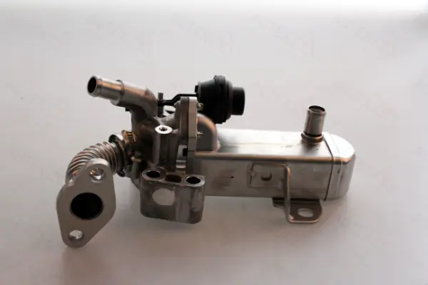 EGR Module