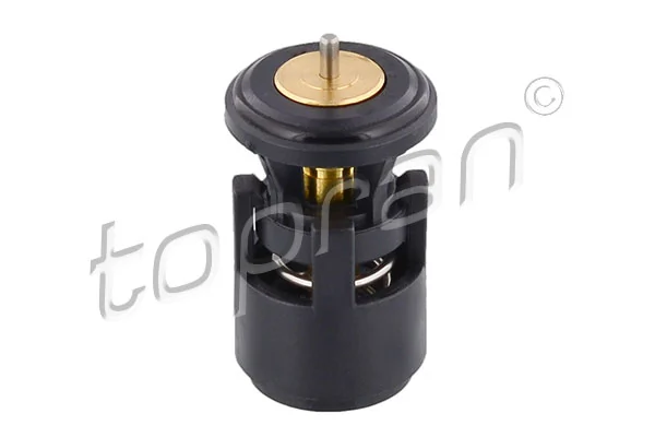 Thermostat d'eau