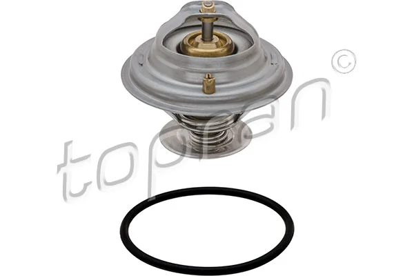 Thermostat d'eau
