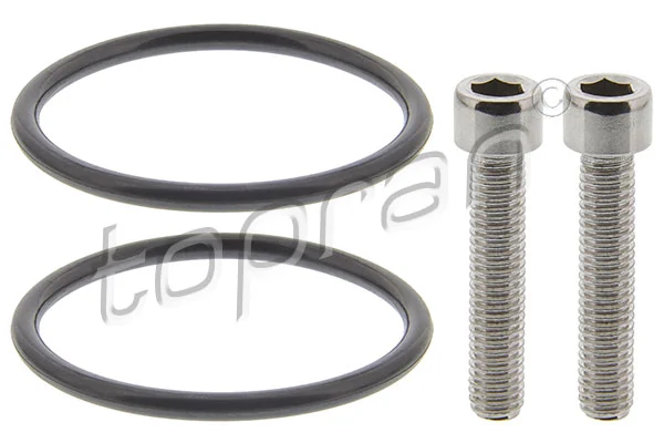 ZESTAW USZCZELEK POMPY HALDEX VW TIGUAN 08-18