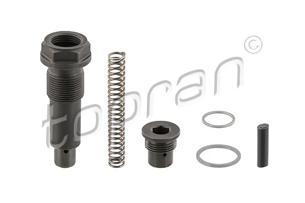 Tendeur, chaîne de distribution TOPRAN 408 971