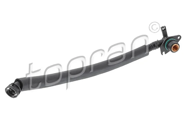 Hose, crankcase ventilation