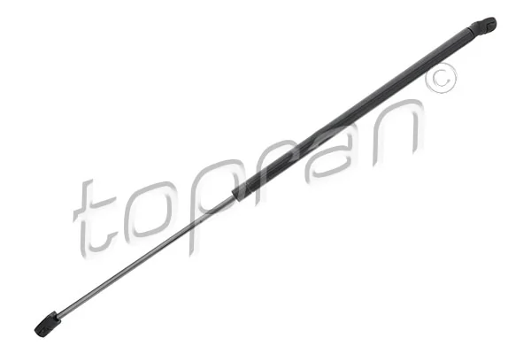 Gas Spring, boot/cargo area