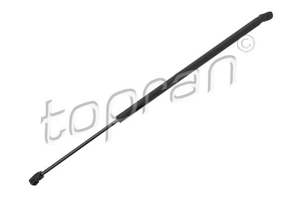 Gas Spring, boot/cargo area