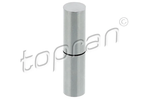 Pilon, pompe à dépression (freinage) TOPRAN 117 515