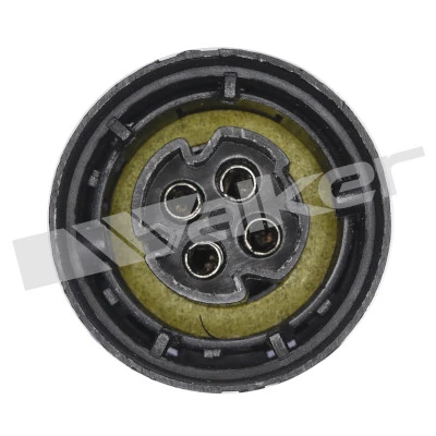 93e6a4eb12b9e4624b1cdcef9001dd40a1cedda9.webp — 3