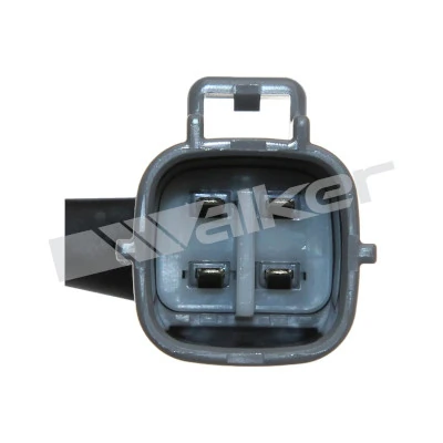 afc9d410770da2983011a29d298cc4ceab546318.webp — 4