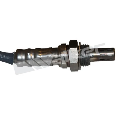 bc8b1fbf97cdce7316e323a60bb2824fbf09ac95.webp — 2