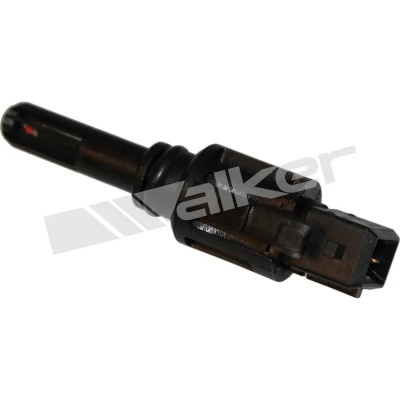 Sensor, intake air temperature