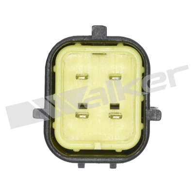 f4d416c77883dac7da70fa6fb90f9f12d75a124e.webp — 3