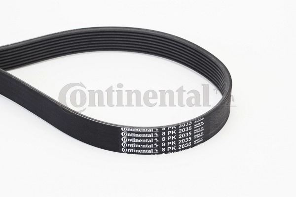 CONTINENTAL CTAM 8PK2035 — Полікліновий ремінь